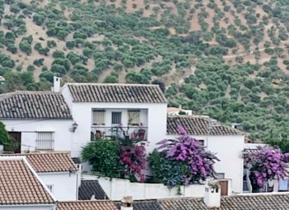 Zahara De La Sierra, Pasillo Aromatica Townhouse, 165 mt2, 5 habitaciones