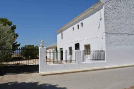 Impressive Town House In Small Village With Large Bodega And Pool, 280 mt2, 5 habitaciones