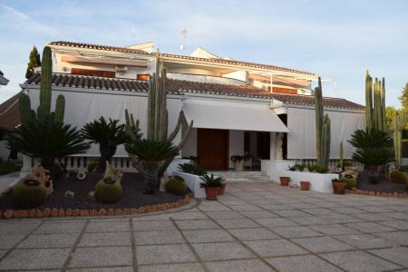 Bungalow 7 bedrooms  for sale in Elx Elche, Spain for 0  - listing #1006925