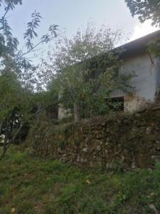 Casa-Chalet en Venta en Arbo Pontevedra Ref: Da0100521, 93 mt2, 1 habitaciones