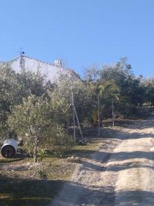 CASA CON TERRENO, 1 habitaciones