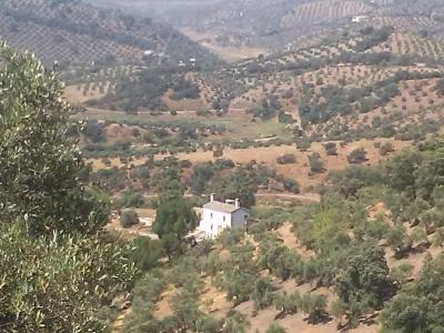 caseron de campo en Montoro con olivos y almendros por 130000€!!, 120 mt2, 2 habitaciones