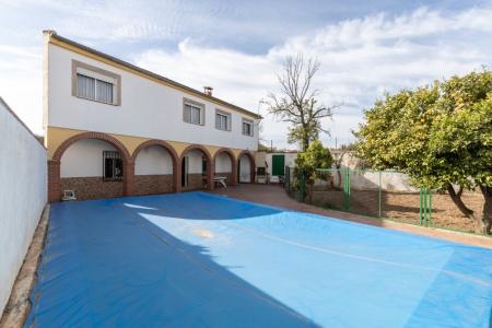 Dos casas en parcela de 724m con huerto y piscina - Ogíjares, 400 mt2, 12 habitaciones