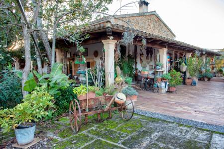 Finca Rústica en LLoseta con cédula de habitabilidad , explotación de naranjos y pozo para regadío, 524 mt2, 4 habitaciones