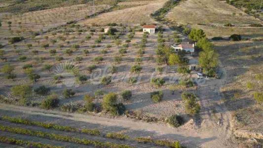 Casa de campo-Masía en Venta en Caudete Albacete , 70 mt2, 1 habitaciones
