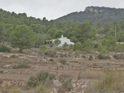 80m2 Open Plan Country House With 25.000m2 Land, 80 mt2