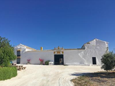 Moron De La Frontera, Cortijo Mezquetilla Country, 900 mt2, 6 habitaciones