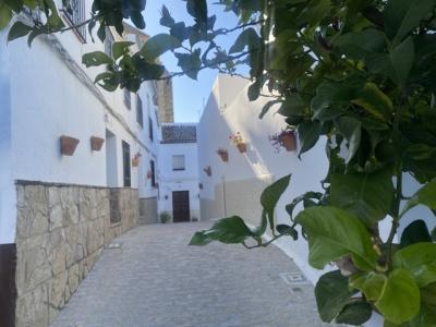 Olvera, Casa De Recuerdos, 118 mt2, 2 habitaciones