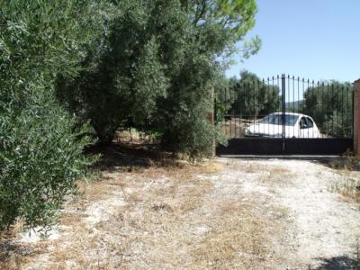 Olvera, Finca El Conejo