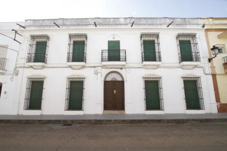 Gran casa en Puebla de la Calzada, 1151 mt2