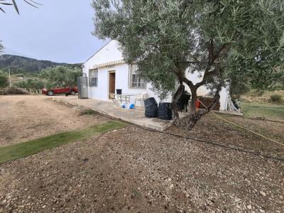 Country House, Ideal For Weekends In Salinas, 48 mt2