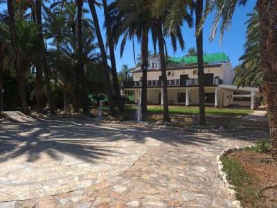 Magnifica Finca en Alzabares con Casa espetacular, 600 mt2, 5 habitaciones