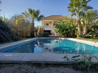 MAGNIFICO CORTIJO RUSTICO CON CHALET EN LA PILARICA ( PUEBLA DEL RIO), 190 mt2, 5 habitaciones