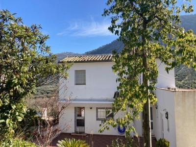 Una Maravillosa Finca-Cortijo rodeada de Almendros en la localidad de Rute Córdoba, 280 mt2, 4 habitaciones
