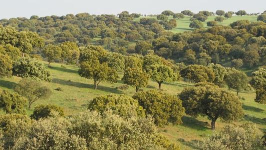 FINCA A LA VENTA CERCA DE ALBURQUERQUE, 129 mt2