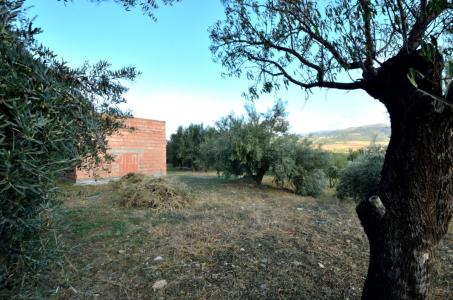Finca Rustica con olivos cerca del pueblo de Fiñana, y con un almacén de aperos en obra y proyecto, 40 mt2, 1 habitaciones