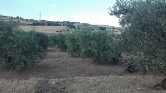 Finca en venta en Malpartida de Plasencia