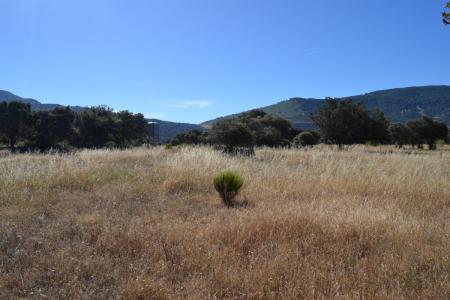 Finca  en venta en Oliva de Plasencia