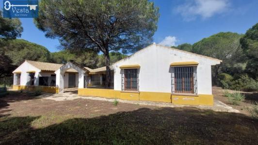 GRAN FINCA EN PUERTO REAL, 350 mt2