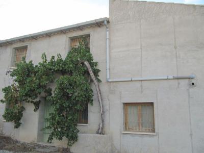 Finca rustica en Salinas con casa semireformada de 300 m2 y 50 ha., 300 mt2, 7 habitaciones
