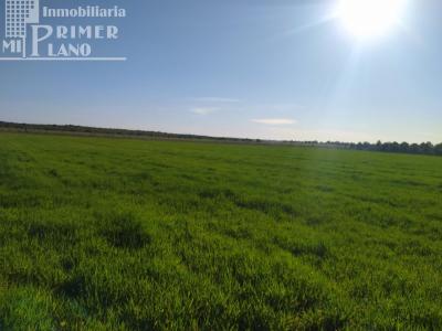 Se venden 13 hectareas de tierra blanca en la zona de la Alavesa, 72 mt2