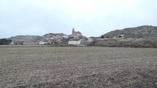 Dos campos de regadío en Alfocea (Zaragoza)., 10200 mt2
