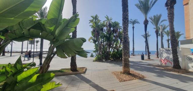 RESTAURANTE EN PLENO CENTRO DE TORREVIEJA EN PASEO MARITIMO