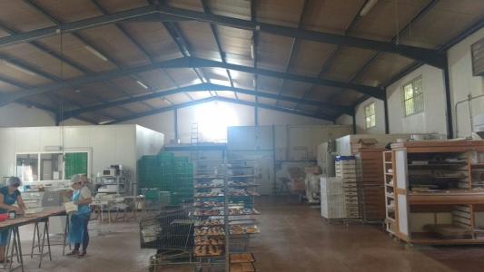 Nave industrial dedicada a fábrica de Panadería en Lorca zona El porvenir, 891 mt2