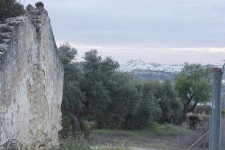 Arcos De La Frontera, Parcela Preciosa Land