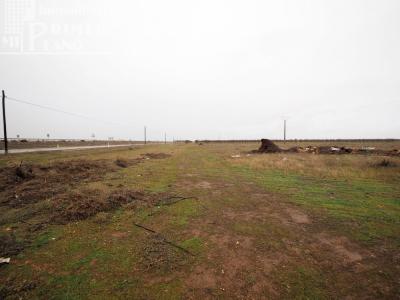 Se vende parcela de secano de 2.2 hectareas en la zona de el abuelito Argamasilla de Alba