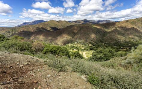 Benahavis, Plot In Benahavis