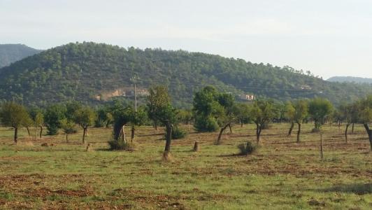 Parcela en Bunyola Parc, 200 mt2