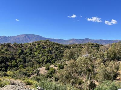 Prime Plot Location With Panoramic Views For Sale On Estepona's New Golden Mile