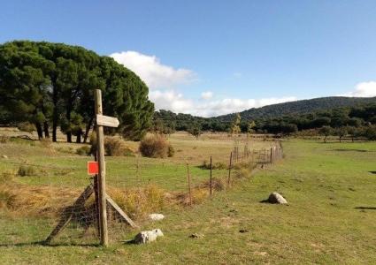 VENTA PARCELA CON CASA Y POZO, 30 mt2