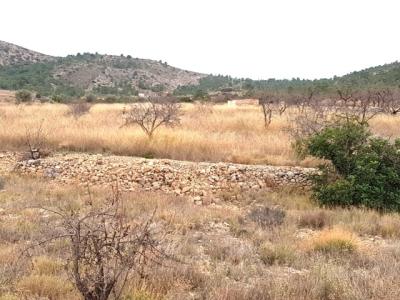 Undeveloped Land 14,175m2 With Electricity And Stunning Countryside Views