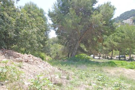 Land - For Sale