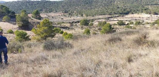 41076m2 Undeveloped Land In An Elevated Position