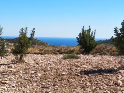 ✓Parcela Rústica en Relleu con Vistas al Mar, Costa Blanca Alicante