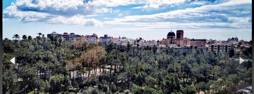 Vistas Panorámicas a las palmeras levantinas  y  la BASÍLICA DE SANTA MARÍA, 260 mt2, 6 habitaciones