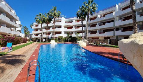 Amplio apartamento en la zona de Playa Flamenca en Orihuela Costa. - SWE6382