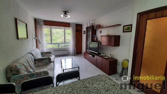 Se vende piso de 1 habitacion con dos plazas de garaje en  Unquera, Val de San Vicente, 53 mt2, 1 habitaciones