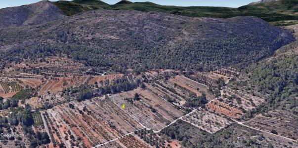 TERRENO DE 10.000 M2 EN ALCALALI