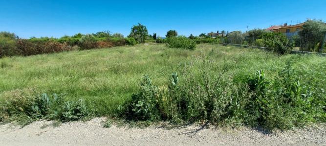 ++Terreno rustico en Alguazas zona Huerta++, 1454 m