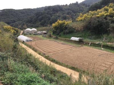 OPORTUNIDAD Terreno agrícola con CERTIFICACIÓN DE CULTIVO ORGÁNICO con construcciones y invernadero, 160 mt2