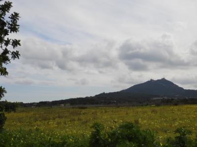 Terreno rustico edificable en muy buena zona