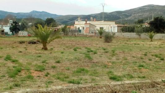 SE VENDE TERRENO RURAL EN LA ZONA DE MARXUQUERA