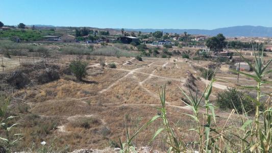 Terreno no urbano agrario de regadio en Las Torres de Cotillas - la loma++, 1018 m. superficie parce
