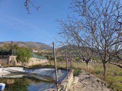 BONITA FINCA DE OLIVOS CON ALMACEN AGRARIO