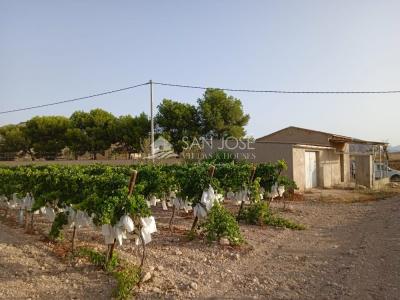 TERRENO RUSTICO CON CASA ALMACEN EN HORNA ALTA ,  NOVELDA