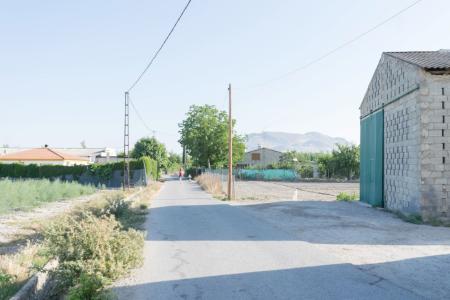 FINCA DE REGADÍO EN EL TERMINO MUNICIPAL DE EL JAU